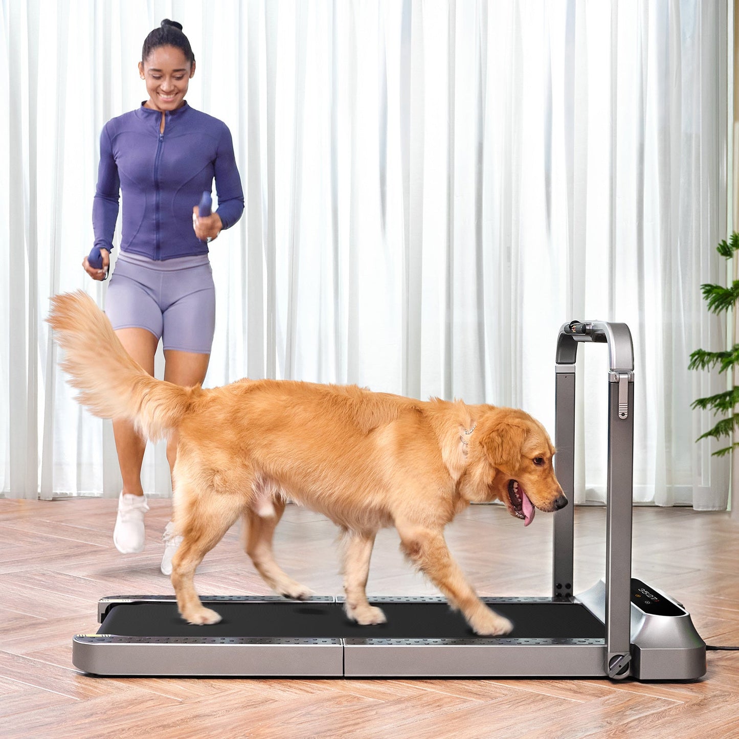 WalkingPad R2 ウォーキングマシン&ランニングマシン 時速12km